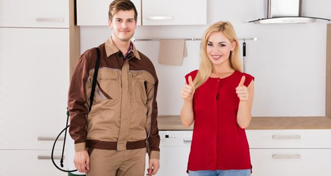 Benefits of Choosing A Professional Pest Control Company